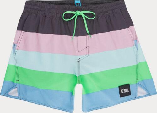Boardshortky O´Neill Pm Vert-Horizon Shorts O'Neill