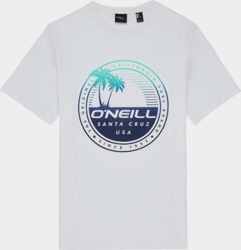 Tričko O´Neill Lm Palm Island T-Shirt O'Neill