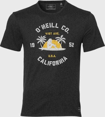 Tričko O´Neill Lm Surf Co. T-Shirt O'Neill